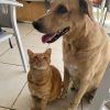 Images de profil de Stephanie - Blooming Pets - Petsitting et garde d'animaux à domicile