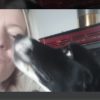 Images de profil de Stéphanie - Blooming Pets - Petsitting et garde d'animaux à domicile