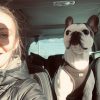 Images de profil de Stéphanie - Blooming Pets - Petsitting et garde d'animaux à domicile