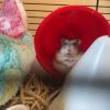Images de profil de Gwendoline - Blooming Pets - Petsitting et garde d'animaux à domicile