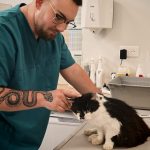 Image de profil de THIBAULT - Blooming Pets - Petsitting et garde d'animaux à domicile
