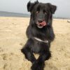 Images de profil de Lea - Blooming Pets - Petsitting et garde d'animaux à domicile