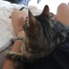 Images de profil de Alicia - Blooming Pets - Petsitting et garde d'animaux à domicile