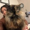 Images de profil de Sofía - Blooming Pets - Petsitting et garde d'animaux à domicile