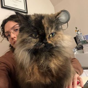 Images de profil de Sofía - Blooming Pets - Petsitting et garde d'animaux à domicile