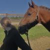 Images de profil de Zoe - Blooming Pets - Petsitting et garde d'animaux à domicile