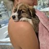 Images de profil de Jannaly - Blooming Pets - Petsitting et garde d'animaux à domicile