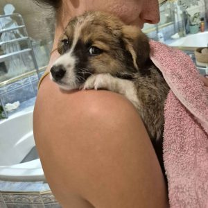 Images de profil de Jannaly - Blooming Pets - Petsitting et garde d'animaux à domicile