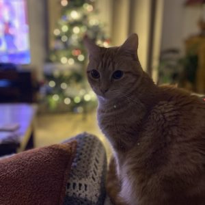 Mimi