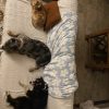 Images de profil de Aurore - Blooming Pets - Petsitting et garde d'animaux à domicile