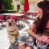 Images de profil de Aurore - Blooming Pets - Petsitting et garde d'animaux à domicile