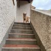 Images de profil de Aurore - Blooming Pets - Petsitting et garde d'animaux à domicile