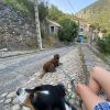 Images de profil de Aurore - Blooming Pets - Petsitting et garde d'animaux à domicile