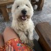 Images de profil de Aurore - Blooming Pets - Petsitting et garde d'animaux à domicile