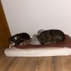 Images de profil de Aurore - Blooming Pets - Petsitting et garde d'animaux à domicile
