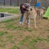 Images de profil de Cigdem - Blooming Pets - Petsitting et garde d'animaux à domicile