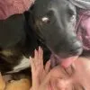 Images de profil de Sarah - Blooming Pets - Petsitting et garde d'animaux à domicile