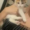 Images de profil de Sarah - Blooming Pets - Petsitting et garde d'animaux à domicile