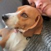 Images de profil de Lucie - Blooming Pets - Petsitting et garde d'animaux à domicile