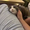 Images de profil de Lucie - Blooming Pets - Petsitting et garde d'animaux à domicile