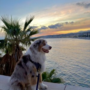 Images de profil de Fanny - Blooming Pets - Petsitting et garde d'animaux à domicile
