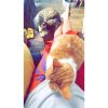 Images de profil de Jennifer - Blooming Pets - Petsitting et garde d'animaux à domicile
