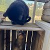 Images de profil de Adrien - Blooming Pets - Petsitting et garde d'animaux à domicile