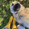 Images de profil de Emma - Blooming Pets - Petsitting et garde d'animaux à domicile