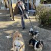 Images de profil de Emma - Blooming Pets - Petsitting et garde d'animaux à domicile