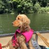 Images de profil de Emma - Blooming Pets - Petsitting et garde d'animaux à domicile