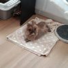 Images de profil de Ludivine - Blooming Pets - Petsitting et garde d'animaux à domicile