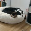 Images de profil de Ludivine - Blooming Pets - Petsitting et garde d'animaux à domicile
