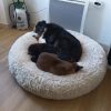 Images de profil de Ludivine - Blooming Pets - Petsitting et garde d'animaux à domicile
