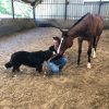Images de profil de Justine - Blooming Pets - Petsitting et garde d'animaux à domicile