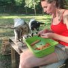 Images de profil de Justine - Blooming Pets - Petsitting et garde d'animaux à domicile