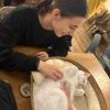 Images de profil de Ophélie - Blooming Pets - Petsitting et garde d'animaux à domicile
