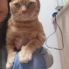 Images de profil de Ophélie - Blooming Pets - Petsitting et garde d'animaux à domicile