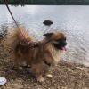 Images de profil de Laura - Blooming Pets - Petsitting et garde d'animaux à domicile