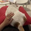 Images de profil de Marianne - Blooming Pets - Petsitting et garde d'animaux à domicile