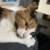 Images de profil de Marianne - Blooming Pets - Petsitting et garde d'animaux à domicile