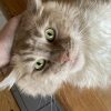 Images de profil de Marianne - Blooming Pets - Petsitting et garde d'animaux à domicile
