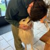 Images de profil de emilien - Blooming Pets - Petsitting et garde d'animaux à domicile