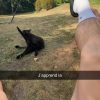 Images de profil de emilien - Blooming Pets - Petsitting et garde d'animaux à domicile