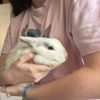 Images de profil de emilien - Blooming Pets - Petsitting et garde d'animaux à domicile