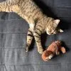 Images de profil de manon - Blooming Pets - Petsitting et garde d'animaux à domicile