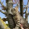 Images de profil de manon - Blooming Pets - Petsitting et garde d'animaux à domicile
