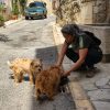 Images de profil de Julie - Blooming Pets - Petsitting et garde d'animaux à domicile