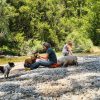 Images de profil de Julie - Blooming Pets - Petsitting et garde d'animaux à domicile
