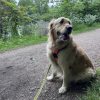 Images de profil de Manon - Blooming Pets - Petsitting et garde d'animaux à domicile