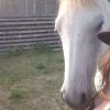 Images de profil de Océane - Blooming Pets - Petsitting et garde d'animaux à domicile